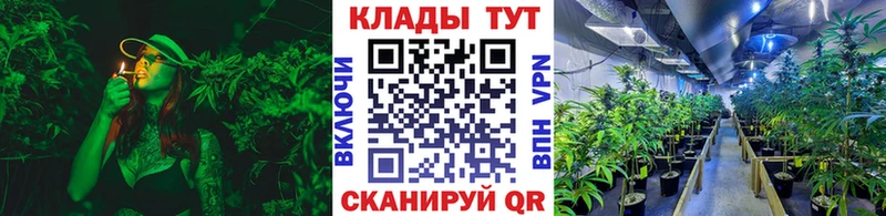 Магазин наркотиков Гороховец omg маркетплейс МАРИХУАНА Меф мяу мяу ГАШИШ Альфа ПВП