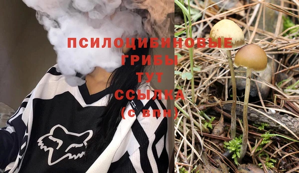 Альфа ПВП Аркадак